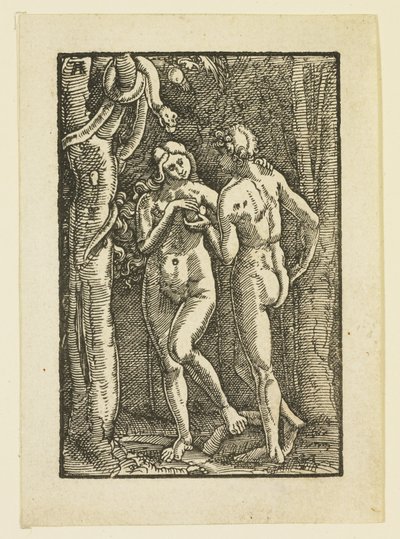 Adam and Eve Eating the Forbidden Fruit by Albrecht Altdorfer